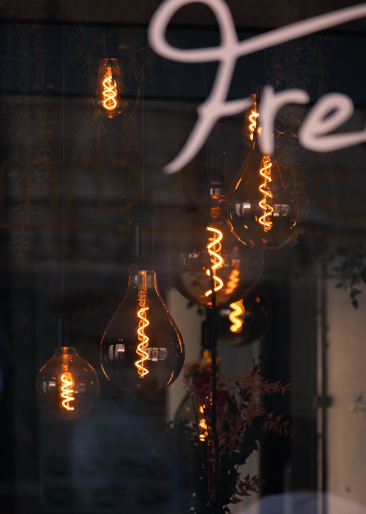 A sign that says free with light bulbs hanging from it, perfect for thought pieces.